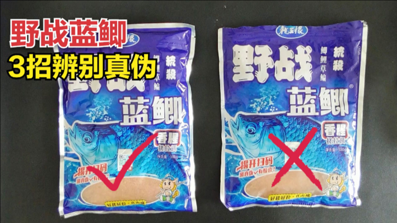 如何区分野战蓝鲫真假?钓鱼人3招鉴别真伪,让新手轻松买到正品