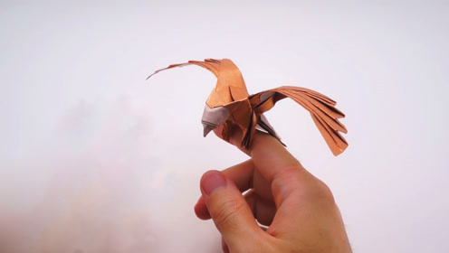 一张纸折展翅的老鹰,手把手教你,赶快收藏吧!