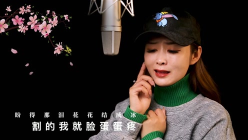 林小妹一首解说版《为甚不回家》歌声如泣如诉,让人陶醉!