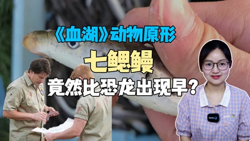 简 介:被七鳃鳗咬中是什么滋味,狼叔带你亲生体验,《作死挑战》纪录片
