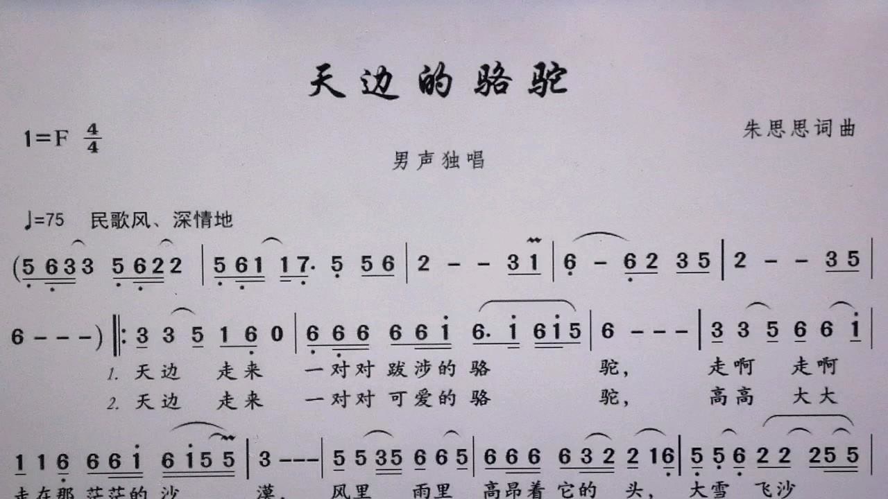 《天边的骆驼》