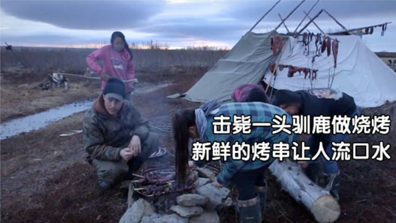 因纽特人击毙一头驯鹿做烧烤,新鲜的鹿肉烤串让人流口水,纪录片