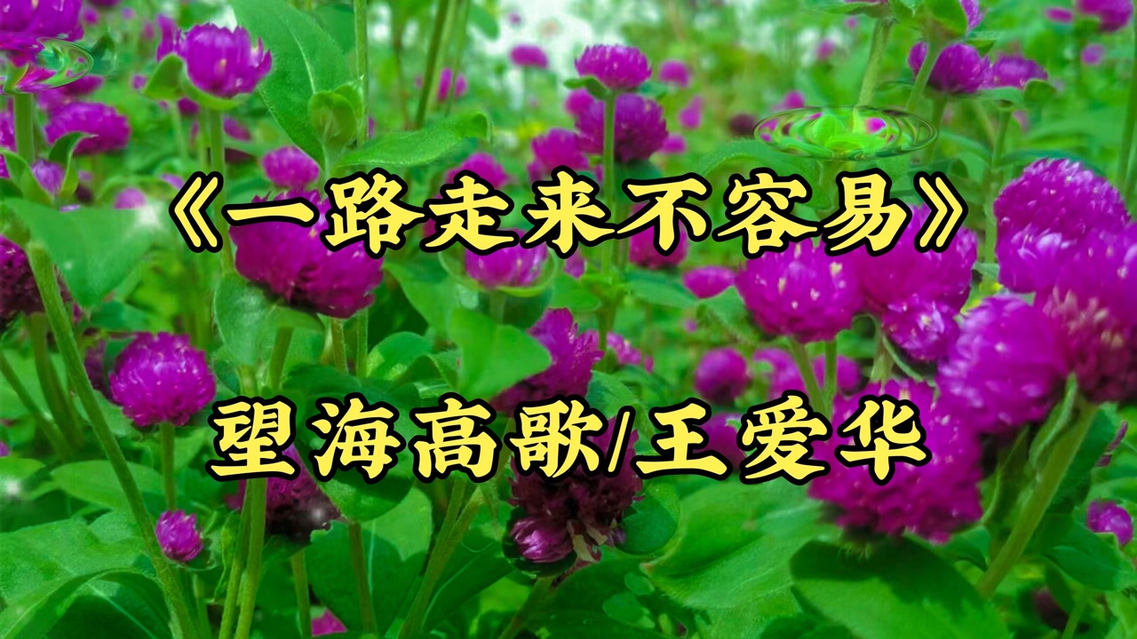 望海高歌一首《老婆有交代》,句句醉人心扉,十分好听-高清mv在线看-qq