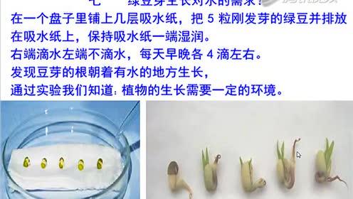 苏教版五年级科学上册