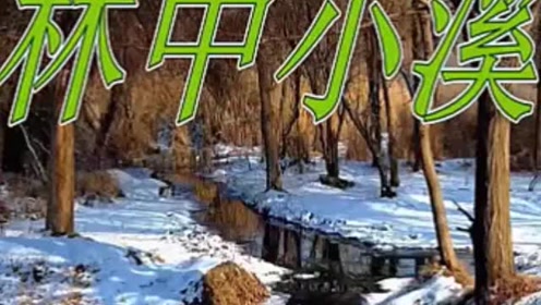 苏教版九年级语文上册2 林中小溪