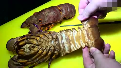 虾姑头 超级皮皮虾, 你吃过吗?