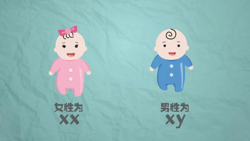 “碱孕宝”助生男娃?动画揭生男生女到底靠啥