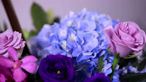 会唱歌的花 腾讯视频