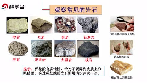 苏教版五年级科学下册第四单元 岩石与矿物