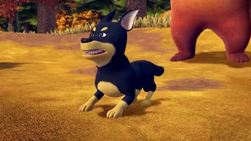 光头强把大黑狗找回来了,没想到它成了,熊大熊二的同伴