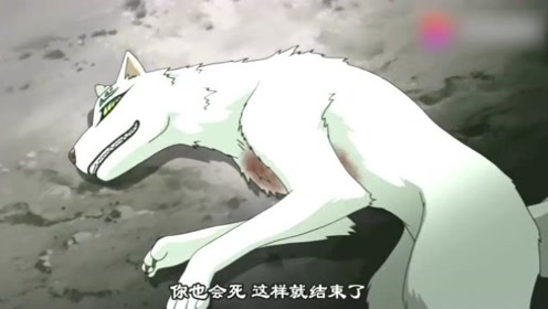 妖犬斑尾封印 腾讯视频