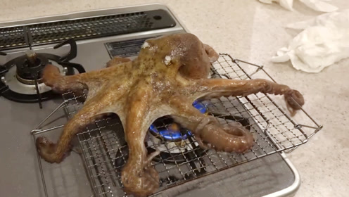 日本美食碳烤活章鱼,看了整过制作过程,瞬间没了胃口!
