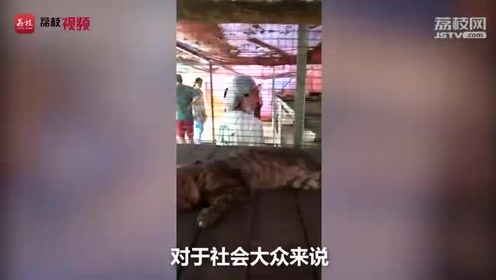 动物检疫 腾讯视频