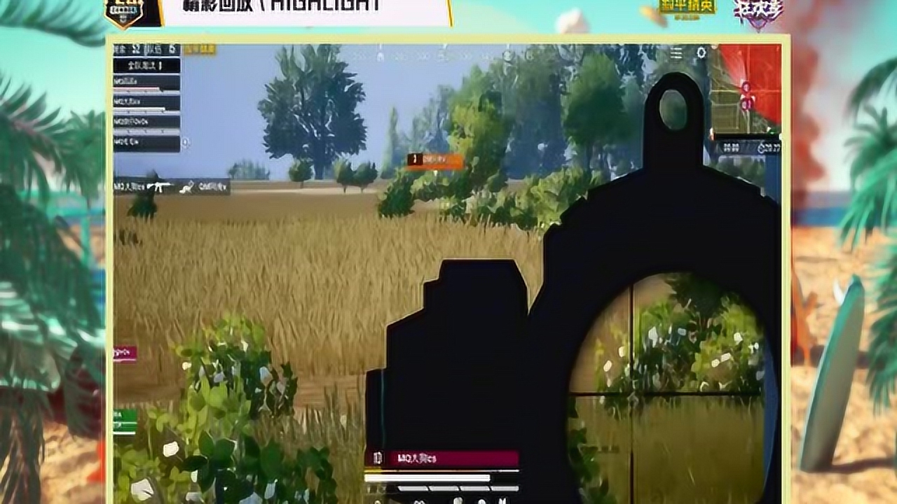 ȫSMGFLOWERC˫ɱ