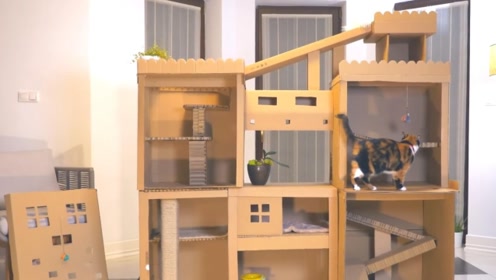 暖猫diy 腾讯视频