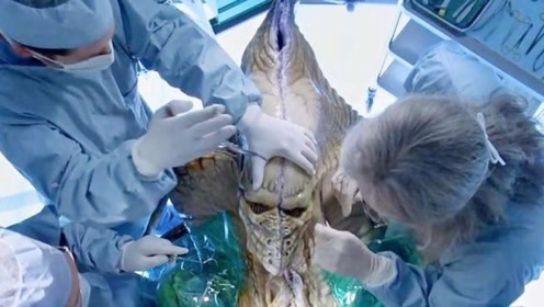 外星人解剖 腾讯视频