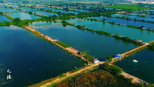 高空航拍广东惠州十分难得的潼湖湿地,占地2654.8公顷
