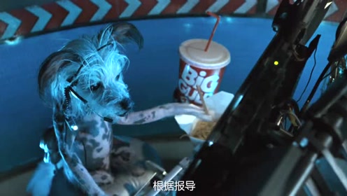 出猫斗一番 腾讯视频