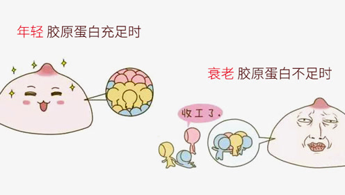 胶原蛋白你真的了解吗?