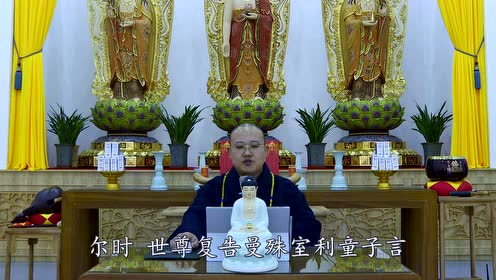 保定兜率寺明月大和尚讲解药师琉璃光如来本愿功德经40