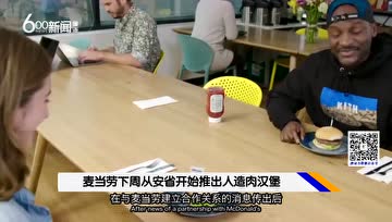 抢搭素食风潮，麦当劳试卖人造肉汉堡