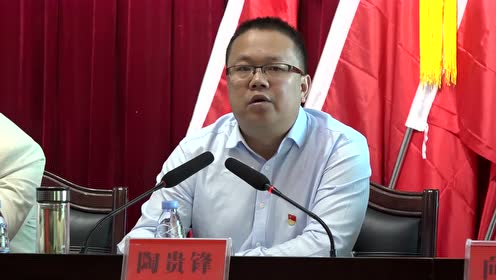 澧县大堰垱镇党委书记陶贵锋讲党课2
