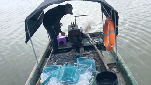 阿聪赶海看到鲨鱼捕食小鱼,赶紧拉网把小鱼救出,这条鲨鱼太猛了
