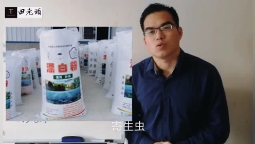 漂白粉 腾讯视频