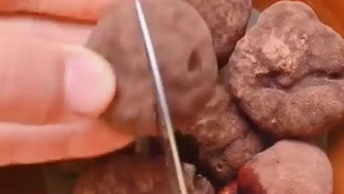 珍味 腾讯视频