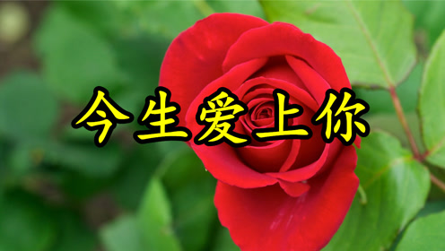 情歌mv:《今生爱上你》期盼和你长相依,一辈子在一起