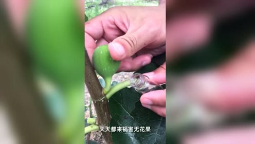 腾讯视频