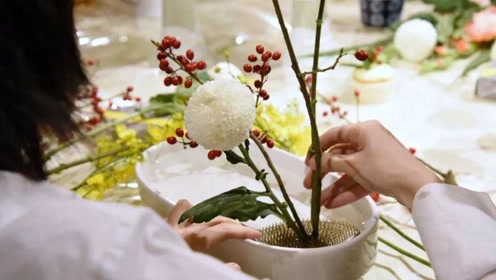 茶道花道 腾讯视频