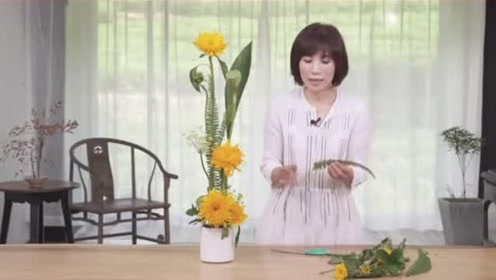 腾讯视频