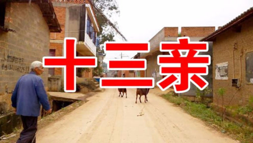 迟志强一首十三不亲70后80后都爱听