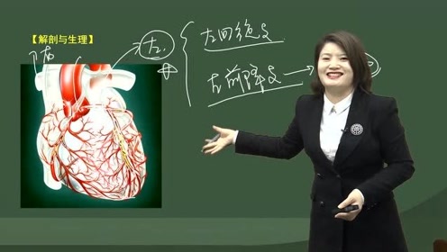 雁翎老师讲解【冠心病解剖生理】