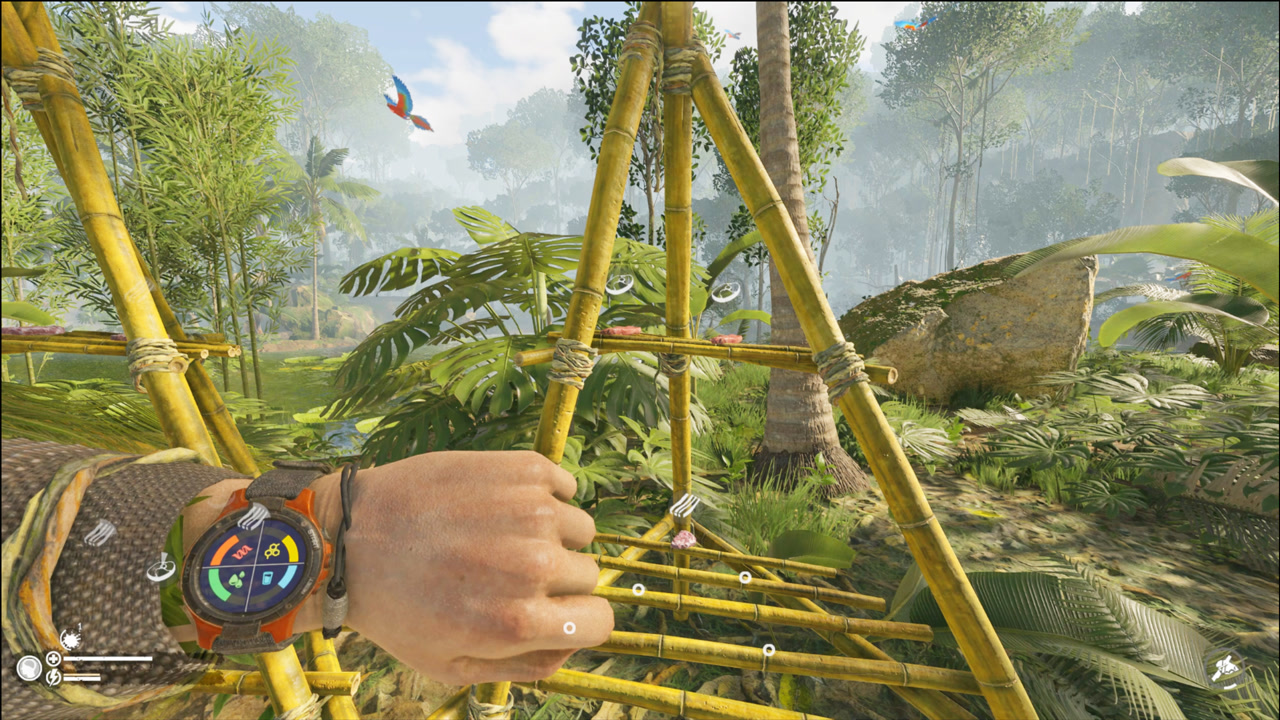 绿色地狱27:做了两个风干架,打了好多猎物回来!