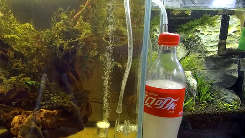 酷诺co2抛弃式 腾讯视频