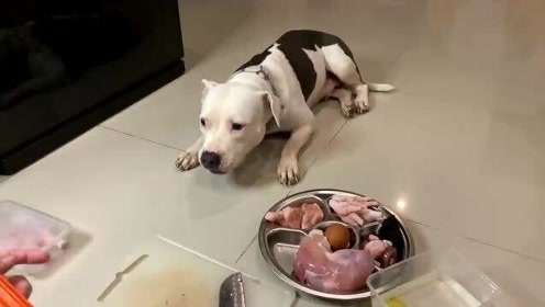 腾讯视频
