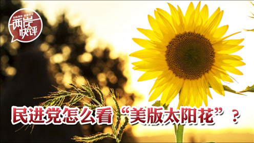 腾讯视频