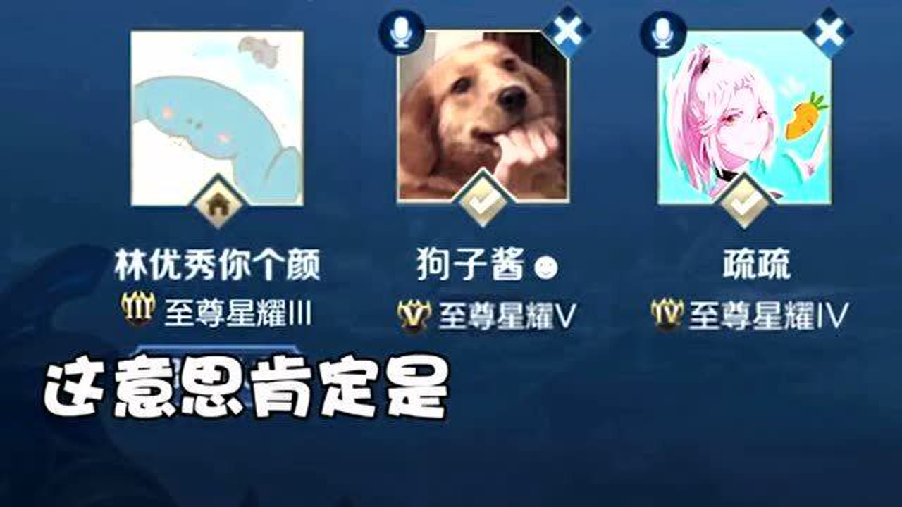 王者荣耀:疏疏用暗语找狗子,谁知被林颜看穿了