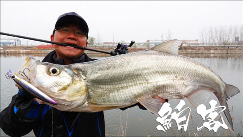 蓝旗鱼路亚 | 鲌客超投怎么玩?