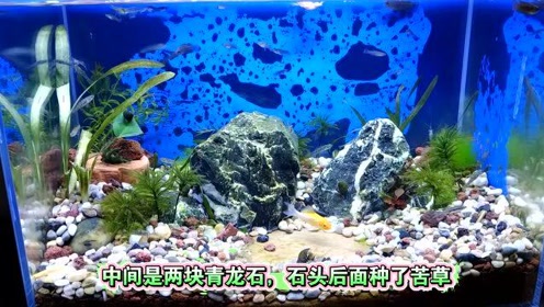 腾讯视频
