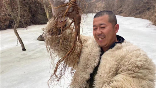 熬最晚的夜,喝最补的汤时 间:2021-03-23上传者:关东大海哥简 介:几十