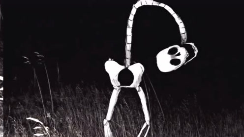 【都市传说】顺时针杰克