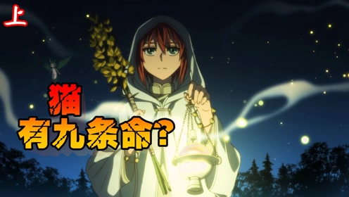 腾讯视频