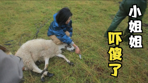 硬核妹子跟着藏民大叔去杀羊,被吓的魂飞魄散