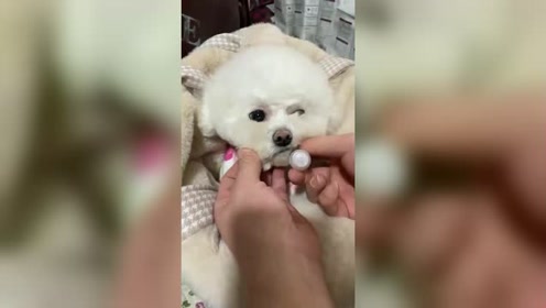 腾讯视频