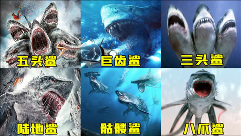 六条深海变异鲨鱼,五头鲨把头当做尾巴,八爪狂鲨大战梭鱼翼龙