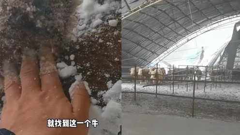 [图]内蒙古通辽遭遇特大暴雪，气象观测员积雪中手脚并用前行工作