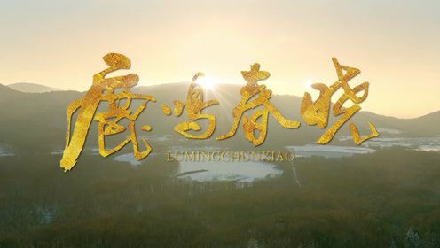 电视剧《鹿鸣春晓》mv